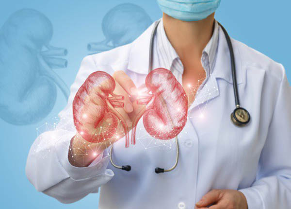 Siêu âm là biện pháp phát hiện bệnh thận đa nang chính xác hiện nay