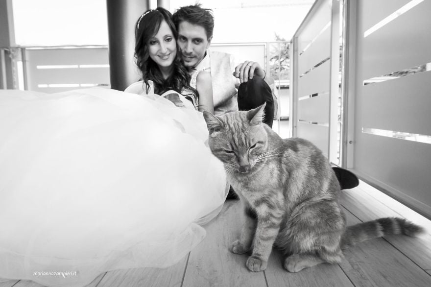 Ngắm bộ ảnh cưới tuyệt đẹp của cặp vợ chồng nhiếp ảnh gia với mèo 14