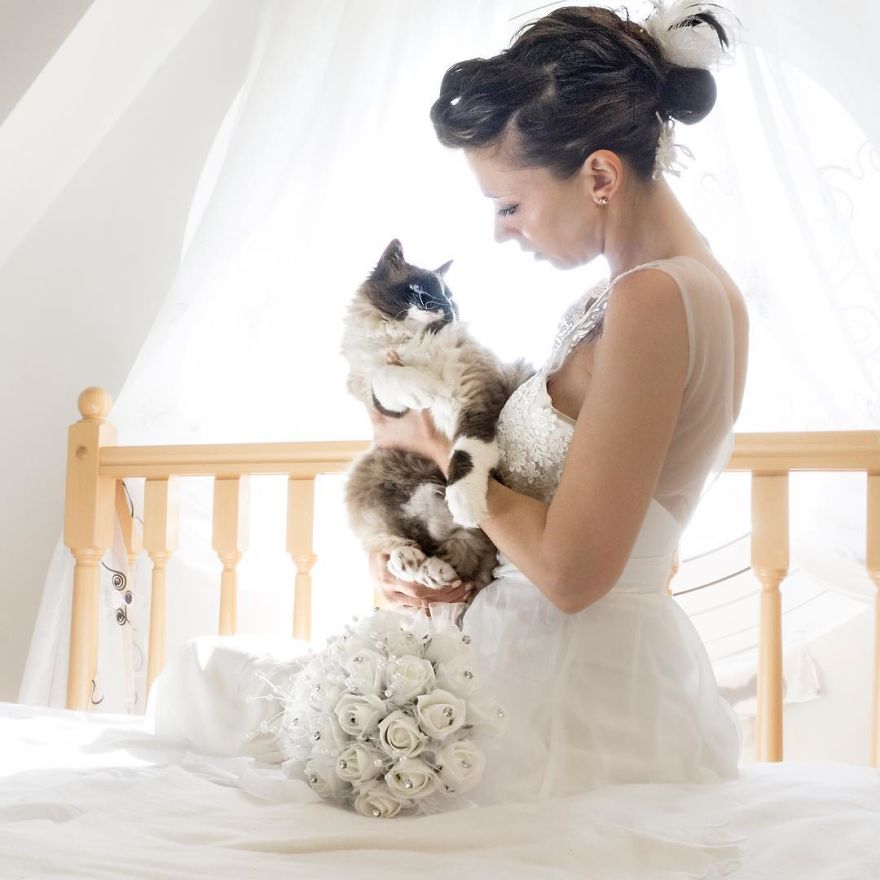 Ngắm bộ ảnh cưới tuyệt đẹp của cặp vợ chồng nhiếp ảnh gia với mèo 1