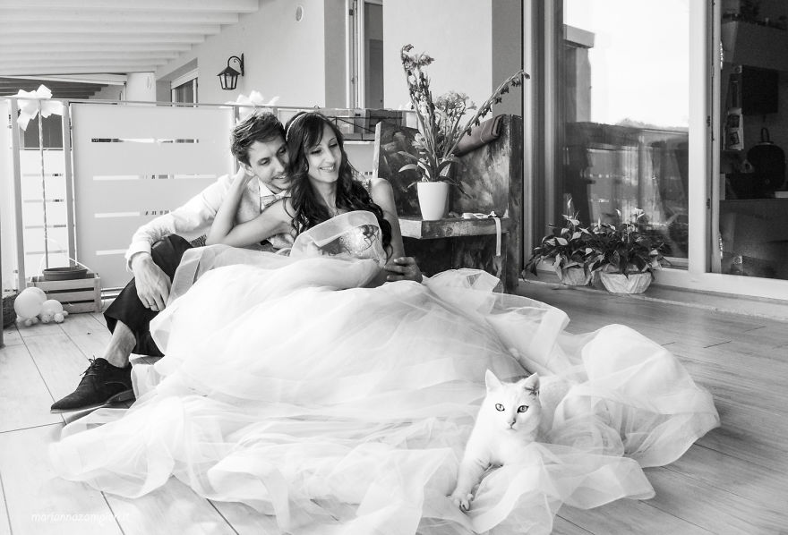 Ngắm bộ ảnh cưới tuyệt đẹp của cặp vợ chồng nhiếp ảnh gia với mèo 7