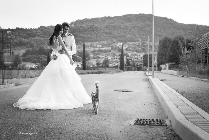 Ngắm bộ ảnh cưới tuyệt đẹp của cặp vợ chồng nhiếp ảnh gia với mèo 9