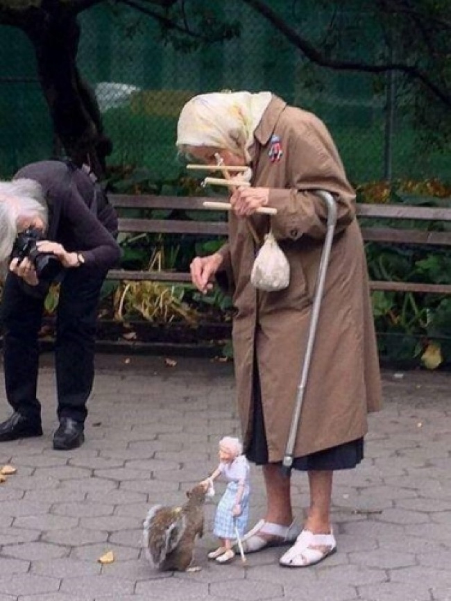 Người phụ nữ này dùng con rối để đút đồ ăn cho chú sóc vì bà không thể cúi xuống