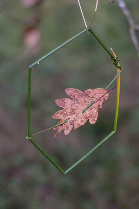 land art (16)