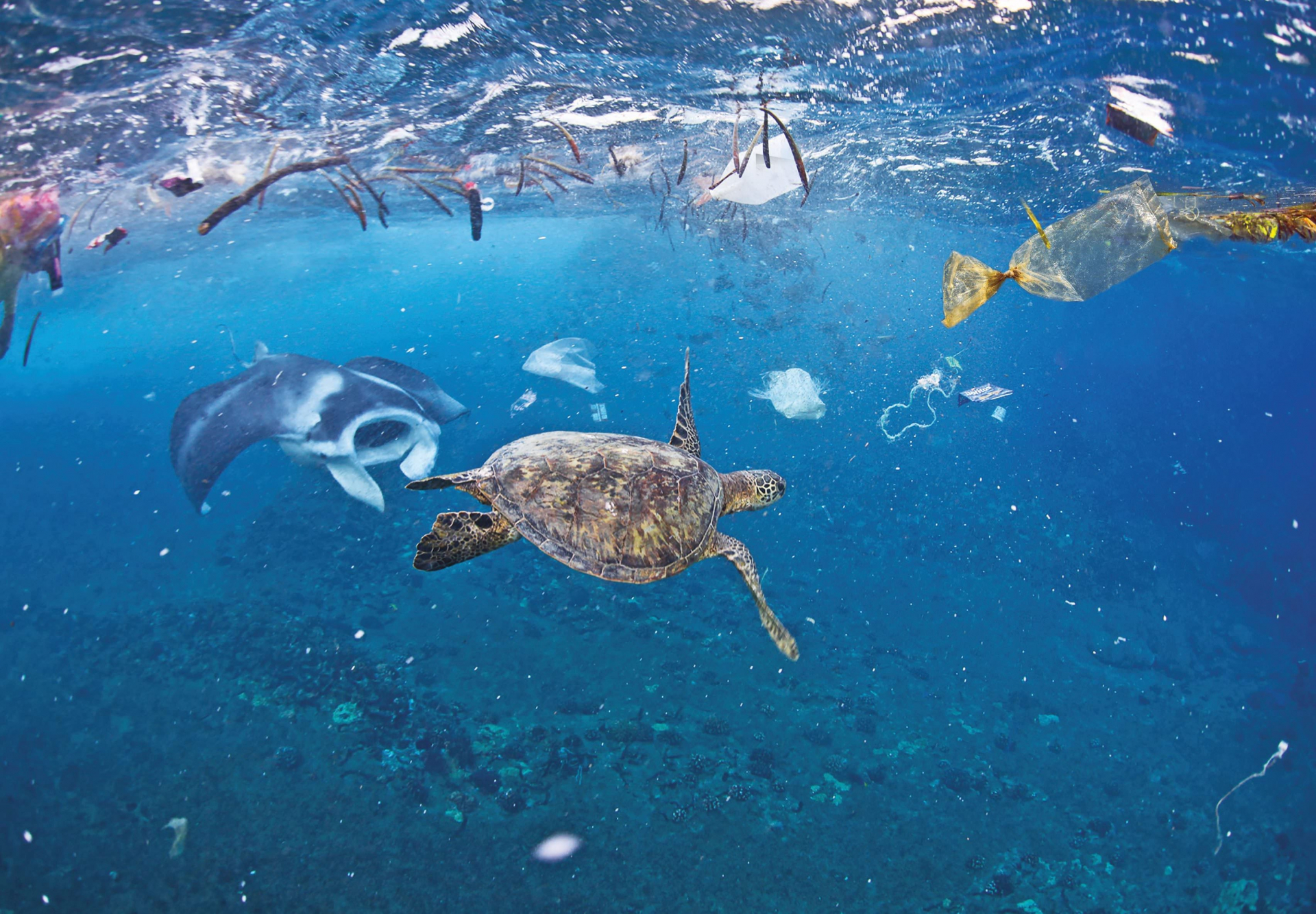   Mỗi năm có khoảng 8,8 triệu tấn rác thải nhựa trôi dạt ra đại dương  