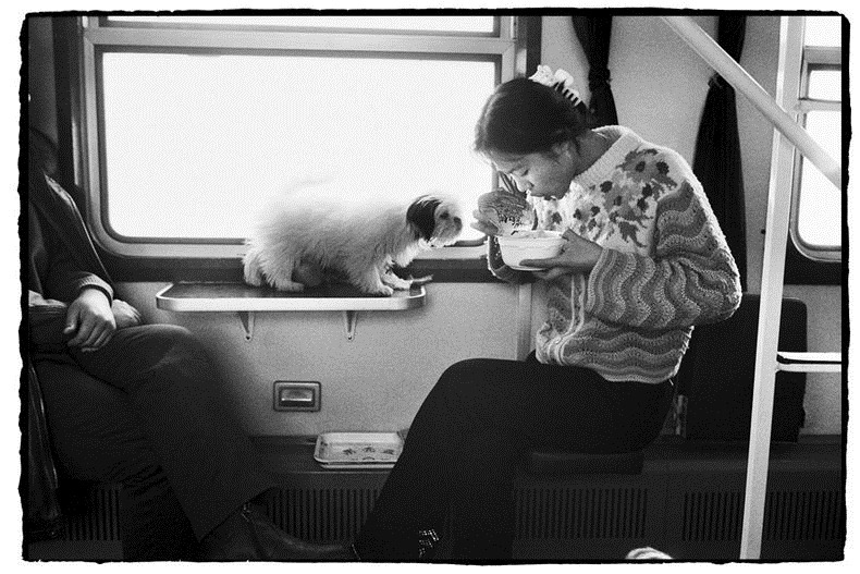 Người đàn ông dành 30 năm chụp hành khách Trung Quốc trên những chuyến tàu 19