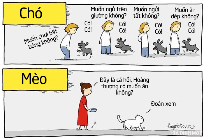 12 bức tranh hài hước về những số phận khác nhau khi nuôi chó và nuôi mèo 8