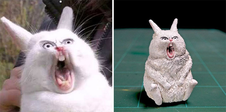   Chú thỏ có biểu cảm rất dữ dội.  