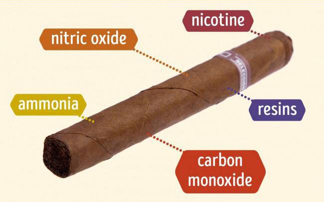   Chất độc hại có trong xì gà.  