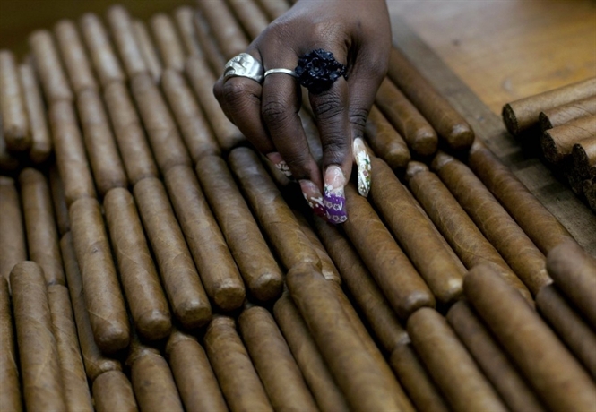   Sản xuất xì gà tại Cuba.  