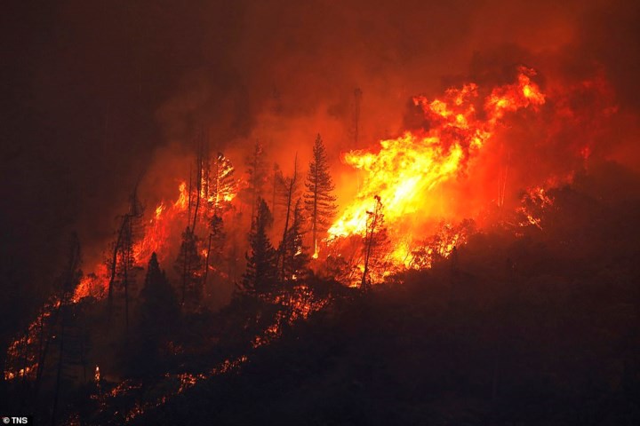 Cháy rừng tại California: Hàng loạt biệt thự triệu đô của sao Hollywood bị thiêu rụi 0