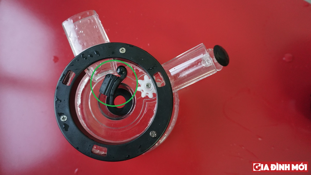   Chiếc gioăng cao su (vòng tròn màu xanh) rất nhỏ nhưng làm nên sự khác biệt của máy ép chậm chất lượng cao  