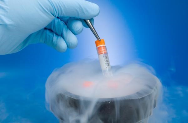 Quy trình tạo phôi thai từ trứng trữ đông lạnh