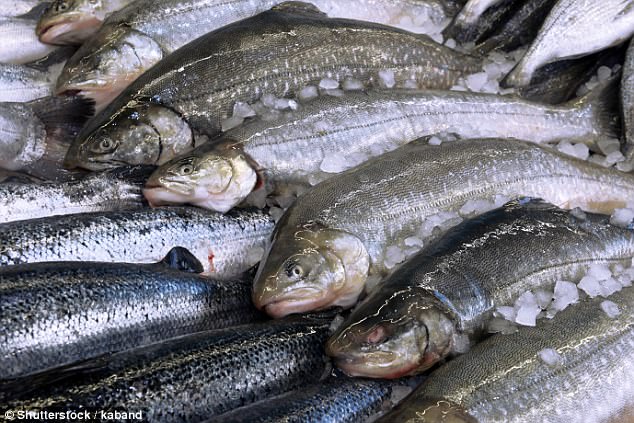Cá hồi nuôi trong trang trại của công ty Scottish Salmon (Scotland) bị phát hiện có dư lượng hóa chất cao