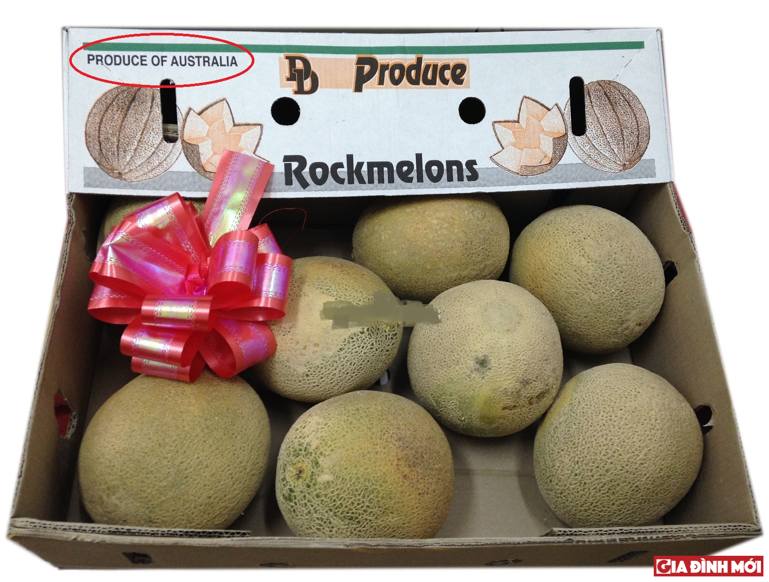 Dưa lưới Úc được một Công ty nhập khẩu trái cây bán ở Việt Nam
