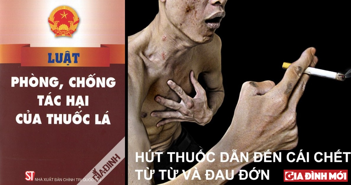 Luật và hình ảnh cảnh báo về tác hại của thuốc lá bắt buộc phải in trên bao thuốc - những nỗ lực trong ban hành chính sách của Bộ Y tế Việt Nam được quốc tế ghi nhận