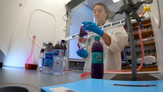 Các nhà nghiên cứu sử dụng thuốc nhuộm để phát hiện mảnh vi nhựa - Ảnh:BBC
