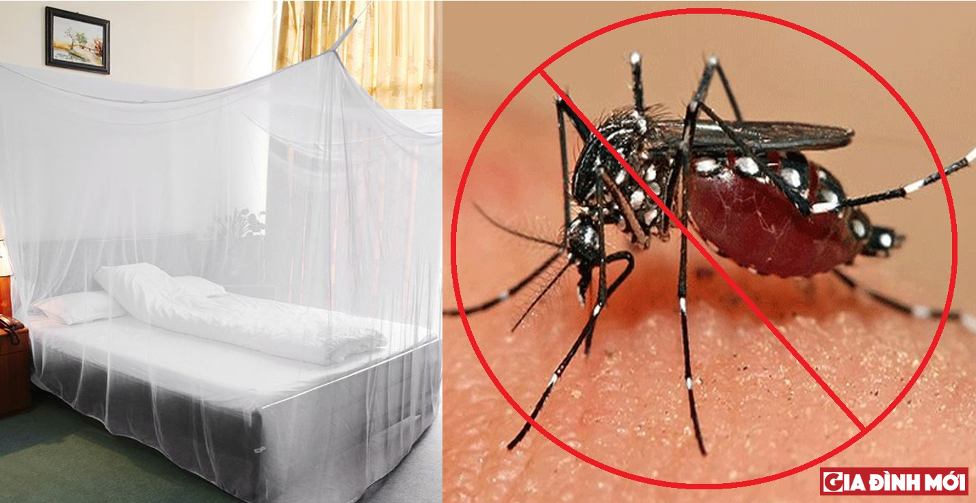 Màn tẩm hóa chất chống muỗi mới đã được WHO khuyến khích sử dụng rộng rãi