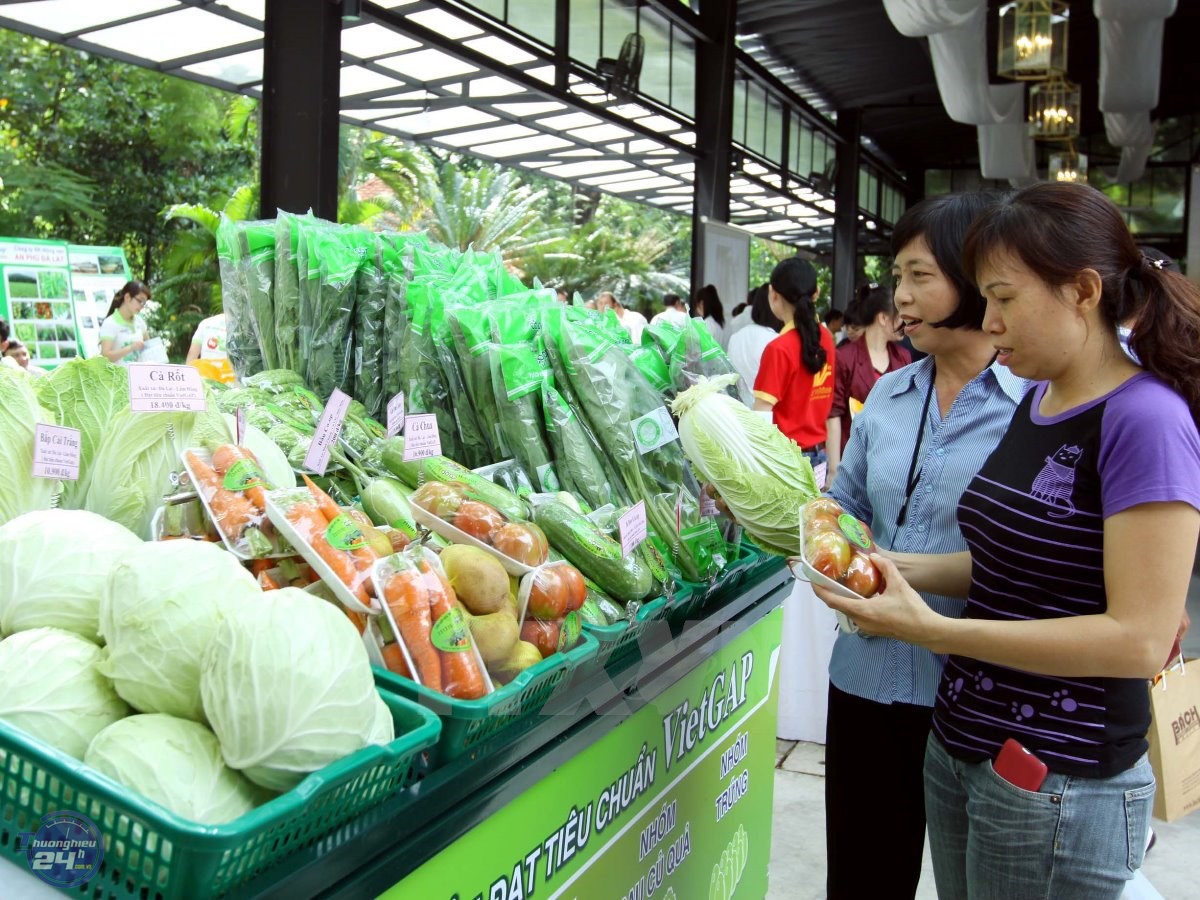 Lựa chọn thực phẩm phù hợp giúp ngăn ngừa triệu chứng ruột kích thích - Ảnh minh họa