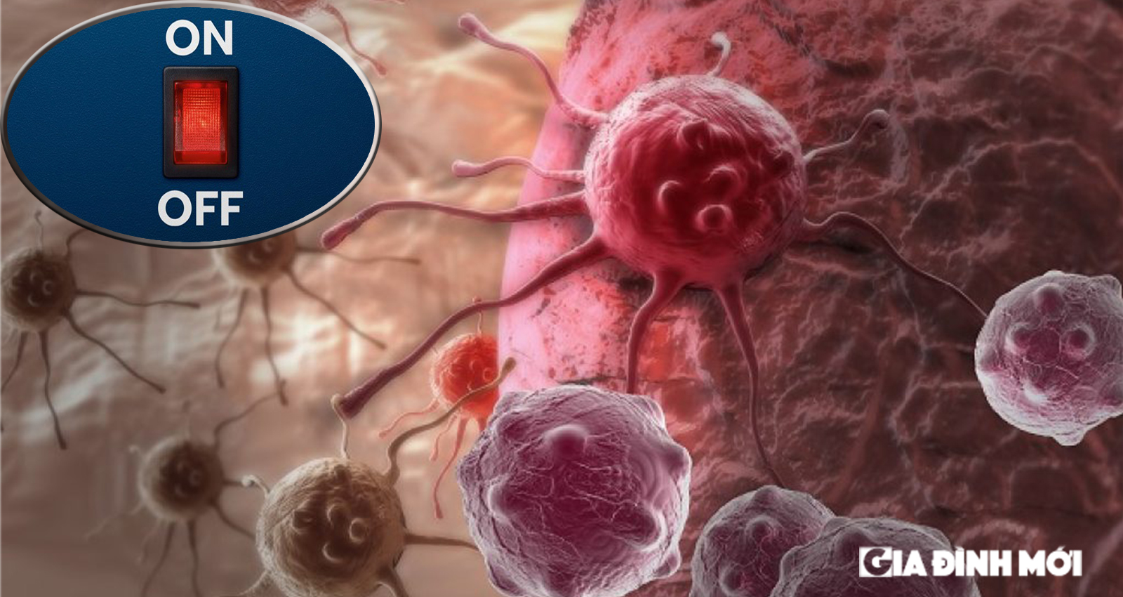 Thuốc điều trị ung thư thế hệ mới được cho là có thể đưa quá trình phân chia tế bào trở về bình thường