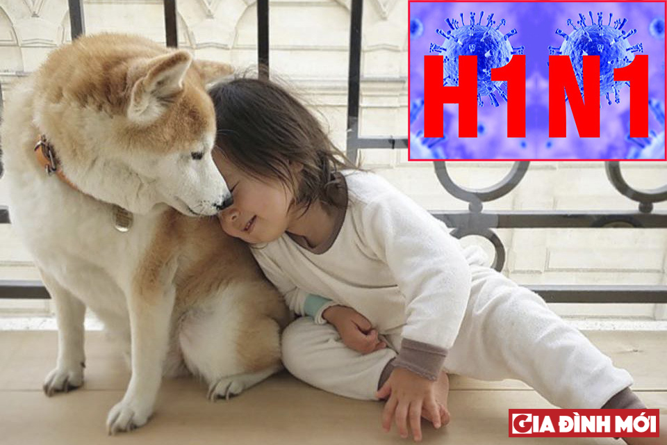 Cúm có thể lây từ chó sang người nếu như không có vắc-xin phòng bệnh phù hợp - Ảnh minh họa