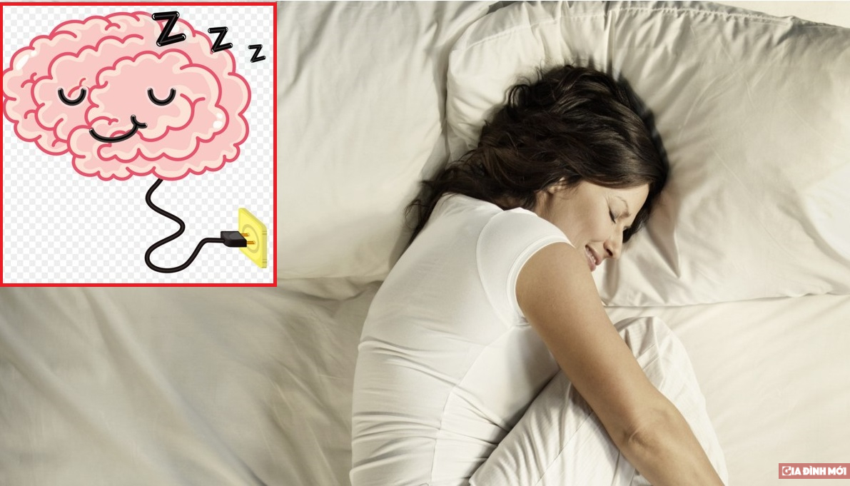   Não thải độc chủ yếu vào ban đêm, vì vậy giấc ngủ ngon là vô cùng cần thiết  