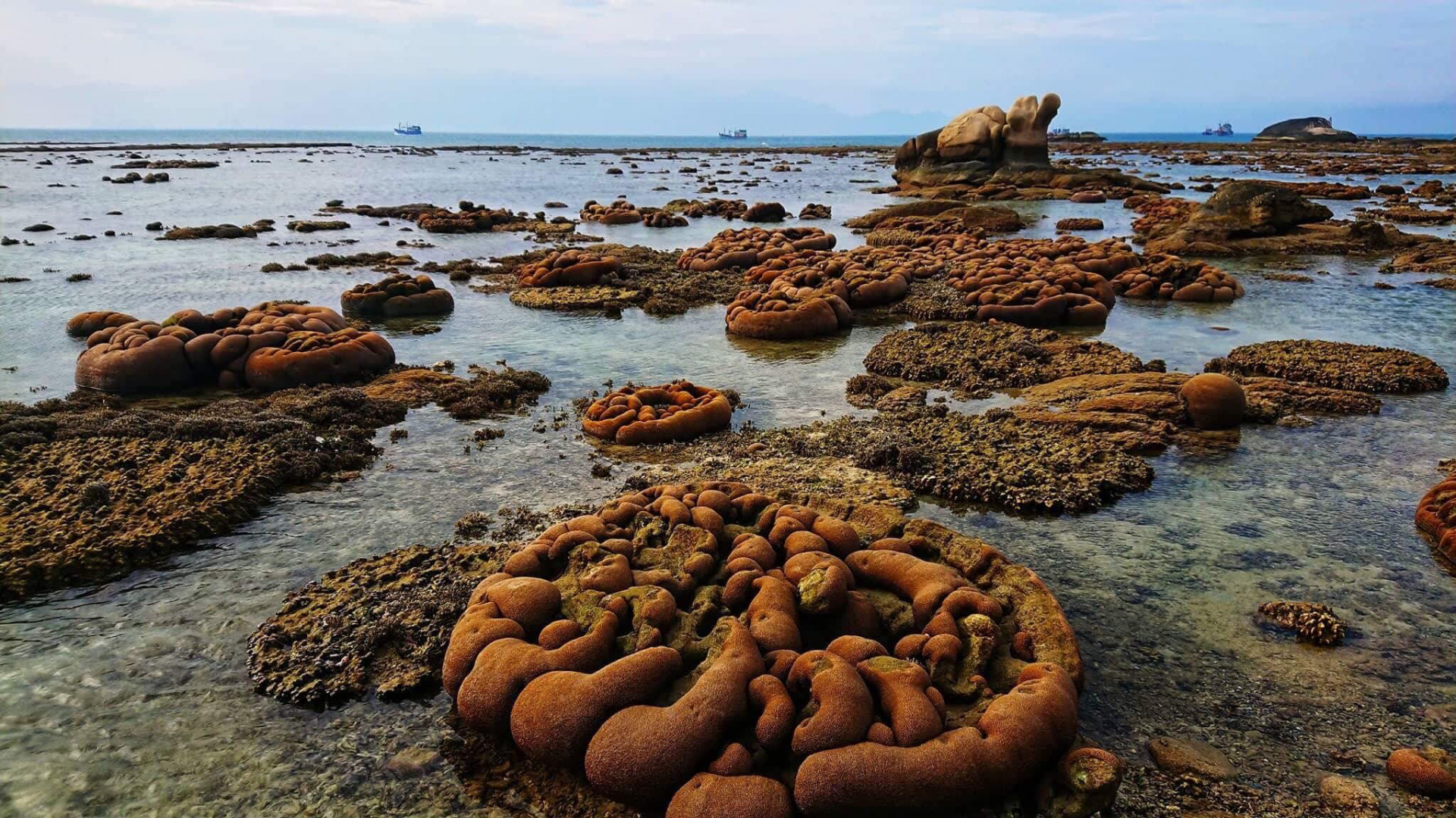 Mỗi khi thuỷ triều xuống, những rặng san hô cạn lộ ra khiến nhiều người liên tưởng đến bề mặt của một hành tinh khác  