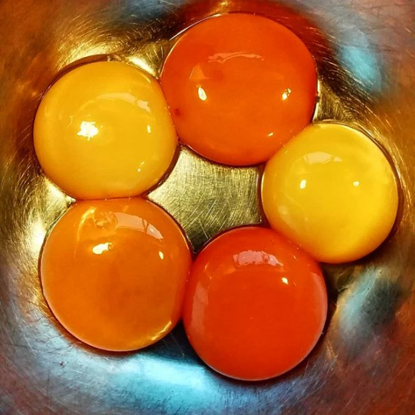 8 hiểu lầm về trứng mà nhiều người vẫn tin sái cổ bấy lâu nay 4