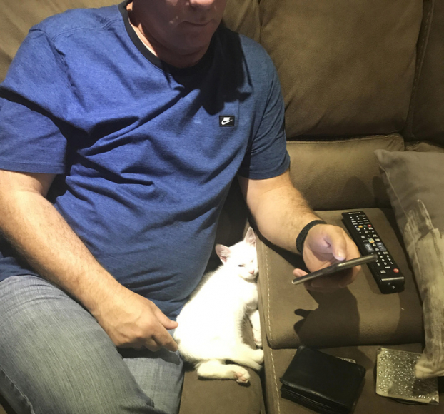   Đây là ông bố 'ghét mèo' và 'không bao giờ cho mèo vào nhà' của tôi đang âm yếm con mèo con của tôi  