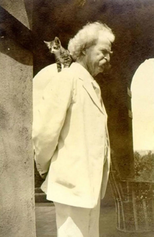12 bức ảnh chứng minh đại văn hào Mark Twain là người cuồng mèo 1