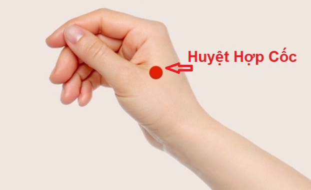   Day ấn huyệt hợp cốc giúp khỏe hệ tiêu hóa, phòng và hỗ trợ điều trị bệnh trĩ  