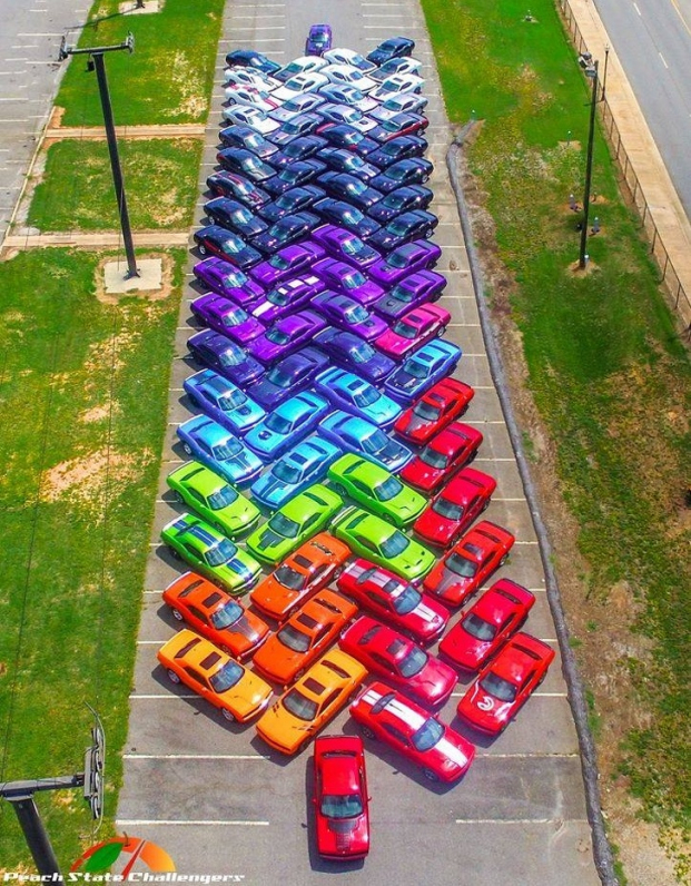   Những chiếc xe đủ màu sắc được sắp xếp hoàn hảo thỏa mãn mọi ánh nhìn  