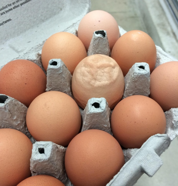   Quả trứng có hình dạng kỳ lạ  