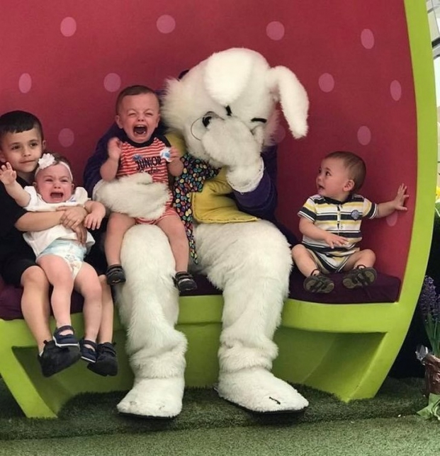   Có vẻ những đứa trẻ này không thích thỏ  