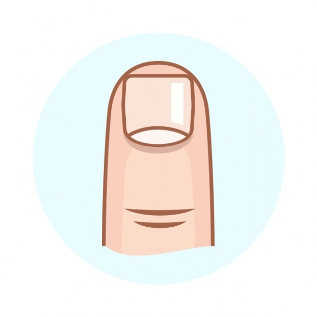 Nhân chủng học: Hình dạng móng tay nói gì về tính cách của bạn?  đầu tiên