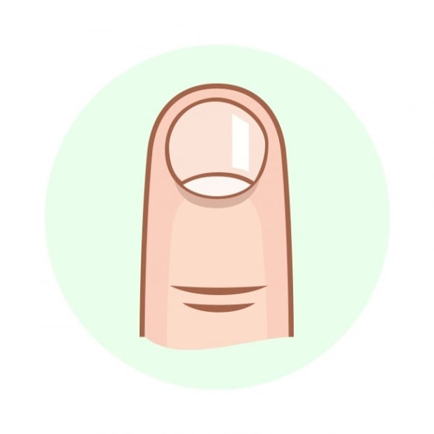 Nhân chủng học: Hình dạng móng tay nói gì về tính cách của bạn?  4