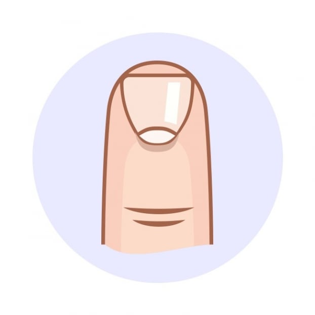 Nhân chủng học: Hình dạng móng tay nói gì về tính cách của bạn?  6