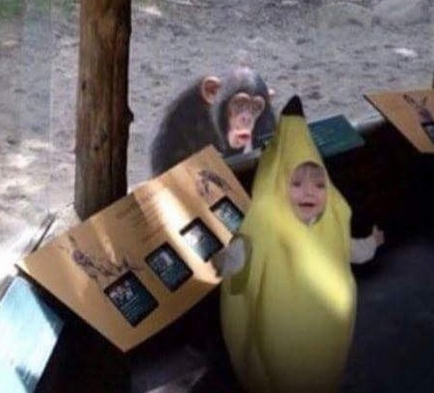   Cô bé muốn mặc đồ quả chuối đi công viên để xem khỉ  