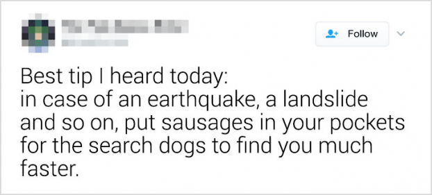   Mẹo hay nhất mà tôi nghe được hôm nay: Trong trường hợp xảy ra động đất, sạt lở đất,... hãy nhét xúc xích vào túi để chó cứu hộ sẽ tìm thấy bạn nhanh hơn  