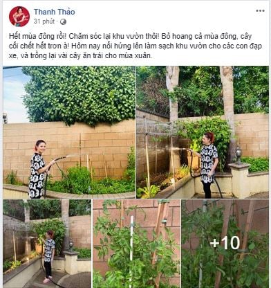 Ca sĩ Thanh Thảo khoe vườn rau sạch xanh mướt trong khuôn viên biệt thự tại Mỹ 0