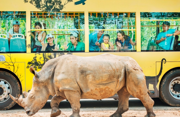 Hình ảnh tê giác con đáng yêu đầu tiên chào đời tại Vinpearl Safari Phú Quốc 4