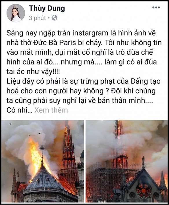 Nghệ sĩ Việt bàng hoàng trước vụ cháy Nhà thờ Đức Bà Paris 6