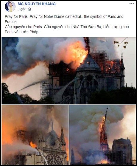Nghệ sĩ Việt bàng hoàng trước vụ cháy Nhà thờ Đức Bà Paris 8
