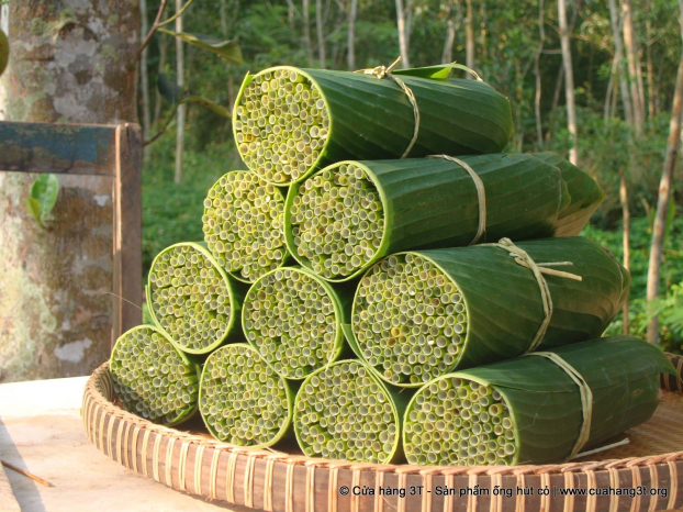  Cửa hàng Việt Nam bán ống hút cỏ thay cho ống hút nhựa  