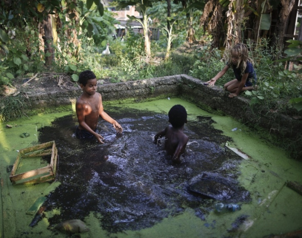   Hai đứa trẻ đang bắt ếch trong đầm nước bẩn, Rio de Janerio, Brazil  