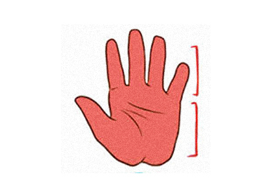 Nhân tướng học: So chiều dài lòng bàn tay và ngón tay, biết phong cách làm việc của bạn 1