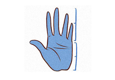 Nhân tướng học: So chiều dài lòng bàn tay và ngón tay, biết phong cách làm việc của bạn 4
