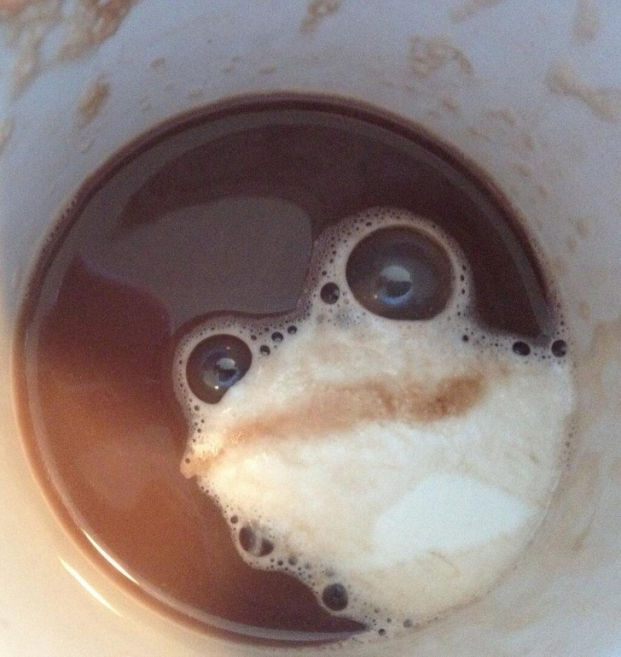   'Một chú ếch vừa nhảy vào cốc cà phê của tôi'  