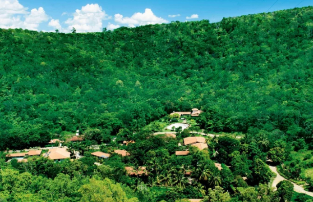 Vợ chồng nhiếp ảnh gia Brazil trồng 2 triệu cây xanh hồi sinh rừng trọc 8