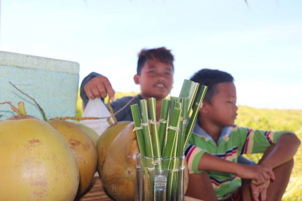   Ống hút lá dừa - giải pháp mới thân thiện với môi trường dành cho người yêu thiên nhiên  