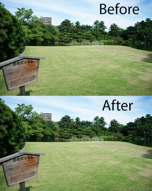   Bức ảnh chế cho thấy mức độ sạch sẽ của công viên ở Nhật: Trước và sau khi dọn rác chẳng có gì khác nhau  